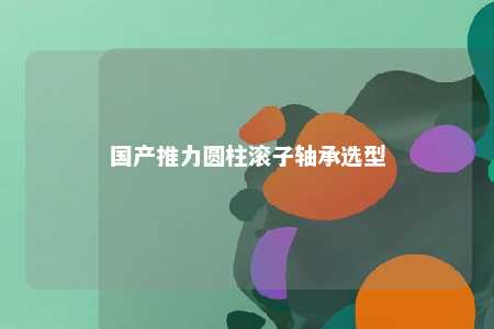 国产推力圆柱滚子轴承选型 