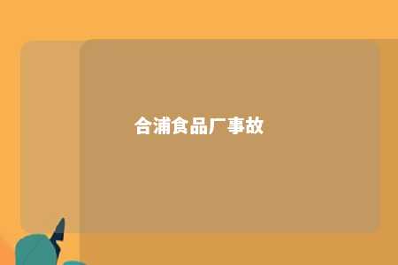 合浦食品厂事故 
